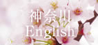 神奈川English